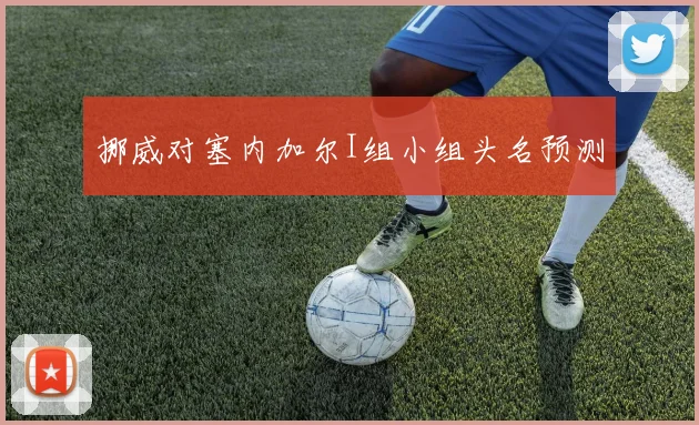 挪威对塞内加尔I组小组头名预测