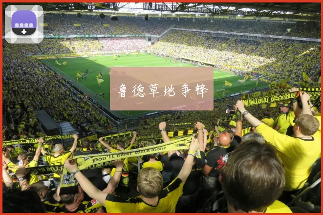 安博app下载最新版 - 鲁德草地争锋