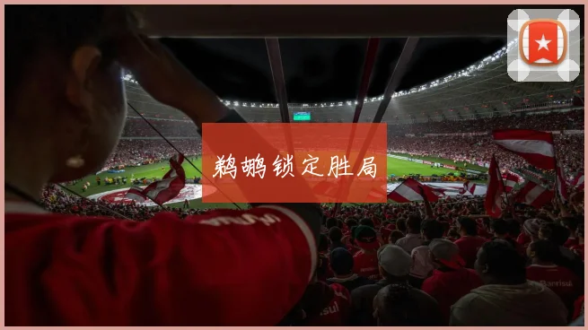安博app下载最新版 - 鹈鹕锁定胜局