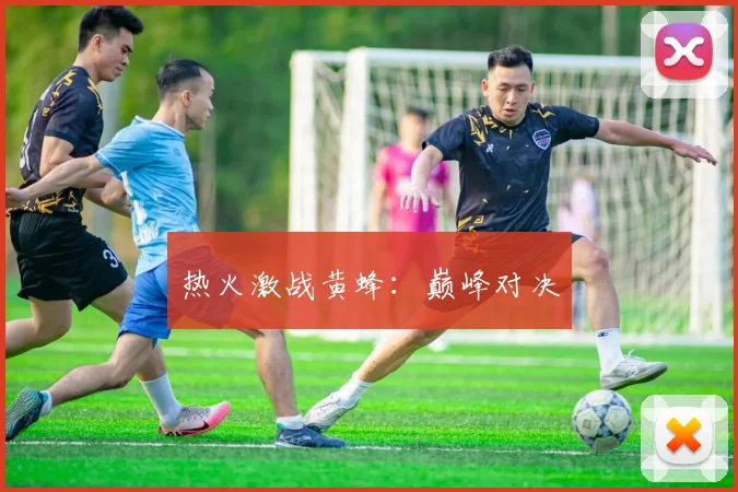 安博app下载最新版 - 热火激战黄蜂：巅峰对决