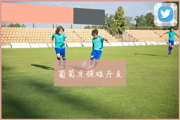 安博app下载最新版 - 葡萄牙强碰丹麦