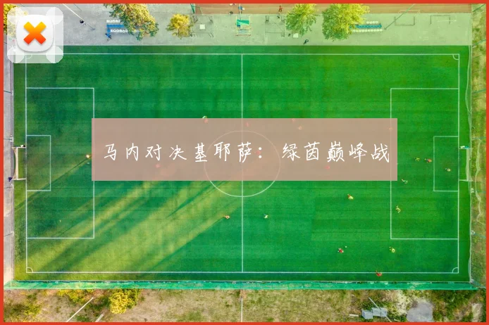 安博app下载最新版 - 马内对决基耶萨：绿茵巅峰战