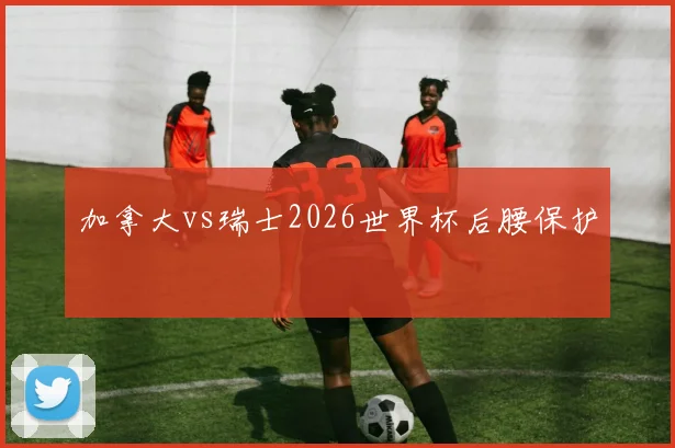 加拿大vs瑞士2026世界杯后腰保护