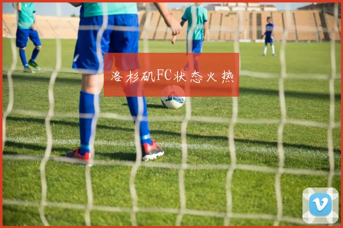 安博app下载最新版 - 洛杉矶FC状态火热