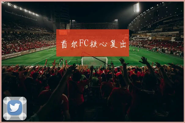 安博app下载最新版 - 首尔FC核心复出