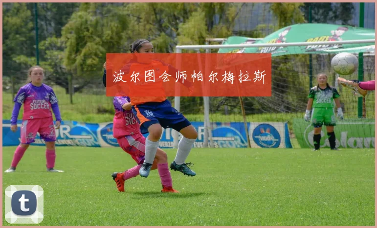 安博app下载最新版 - 波尔图会师帕尔梅拉斯