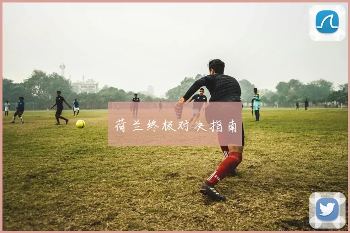 安博app下载最新版 - 荷兰终极对决指南
