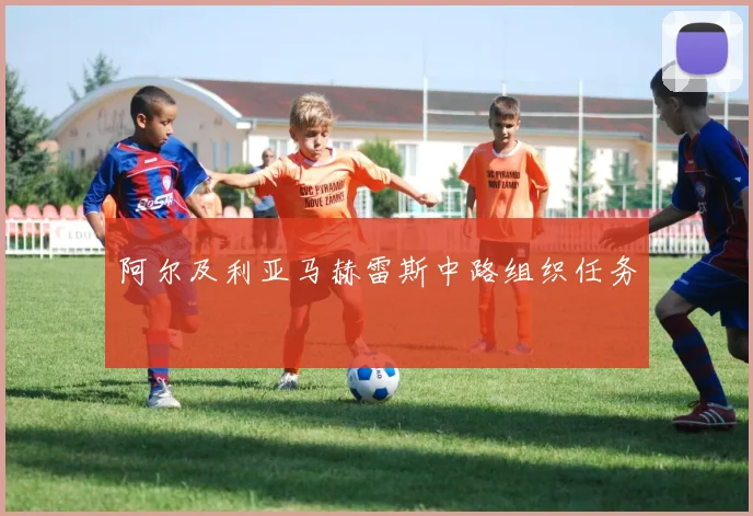 阿尔及利亚马赫雷斯中路组织任务