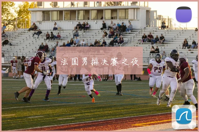 安博app下载最新版 - 法国男排决赛之夜