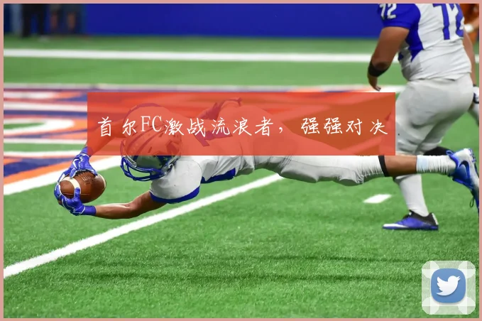 安博app下载最新版 - 首尔FC激战流浪者，强强对决