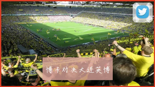 安博app下载最新版 - 博卡对决大连英博