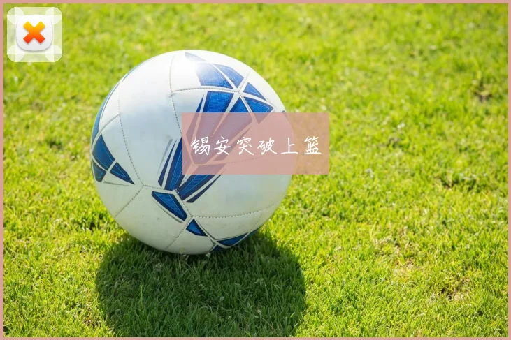 安博app下载最新版 - 锡安突破上篮