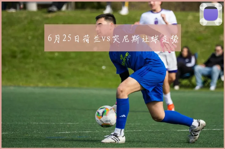 6月25日荷兰vs突尼斯让球走势