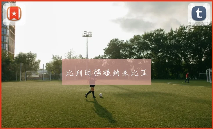 安博app下载最新版 - 比利时强碰纳米比亚
