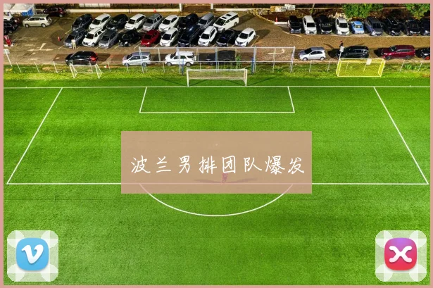 安博app下载最新版 - 波兰男排团队爆发