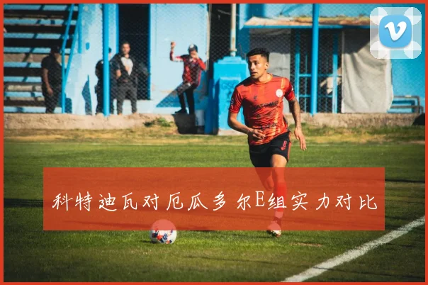 科特迪瓦对厄瓜多尔E组实力对比