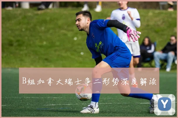 B组加拿大瑞士争二形势深度解读
